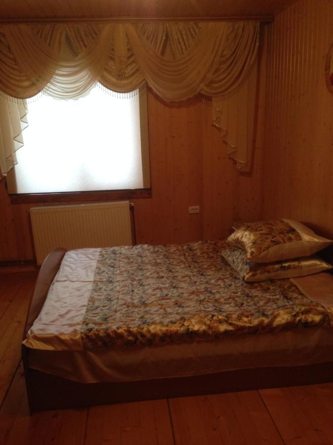 Apartament Карпатська Перлина Iltsi Zewnętrze zdjęcie