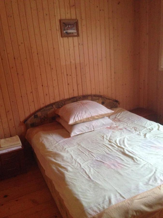 Apartament Карпатська Перлина Iltsi Zewnętrze zdjęcie